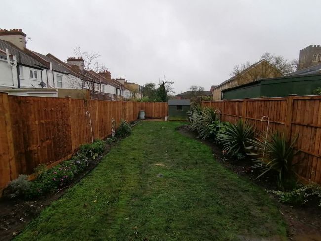 Natural fence installation in Tooting SW17 Natural fence installation in Tooting SW17