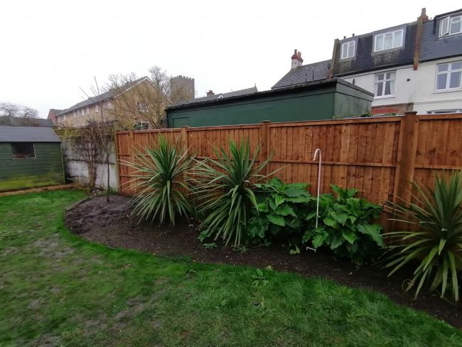 Natural looking fencing installation in Tooting SW17